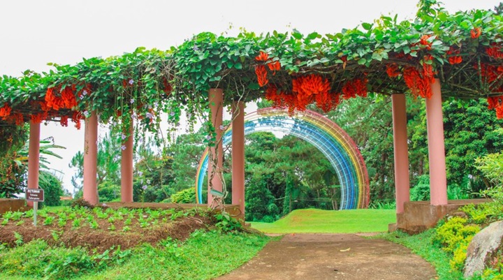 Eden Nature Park and Resort (9) Eden Nature Park and Resort