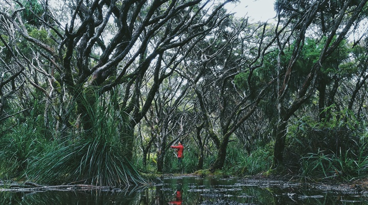 Mount Hamiguitan Range Wildlife Sanctuary