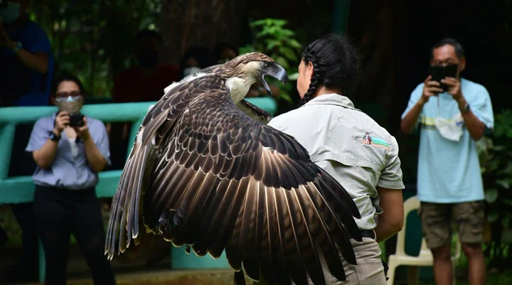Philippine Eagle Center