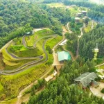 Unleash Your Inner Thrill-Seeker at Dahilayan Adventure Park