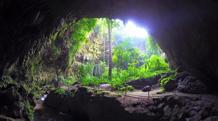 Macahambus Adventure Park