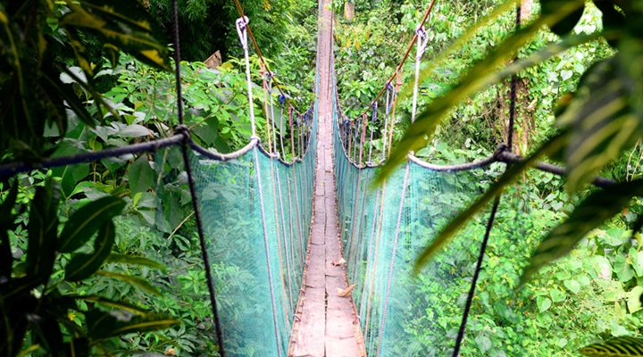 Macahambus Adventure Park