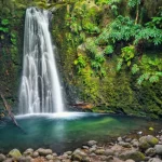 A Day of Fun and Exploration at Mapawa Nature Park