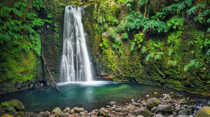 A Day of Fun and Exploration at Mapawa Nature Park