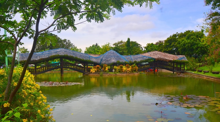 Albay Park and Wildlife (3) Albay Park and Wildlife
