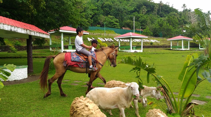 Albay Park and Wildlife (5) Albay Park and Wildlife