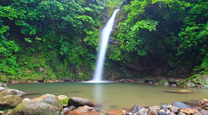 Tall waterfall into a rocky pool at Busay Falls