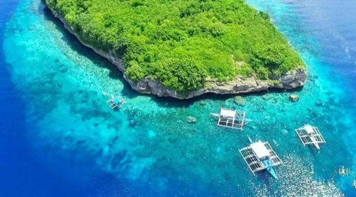 Moalboal is Known for Its Famous Sardine Run Experience