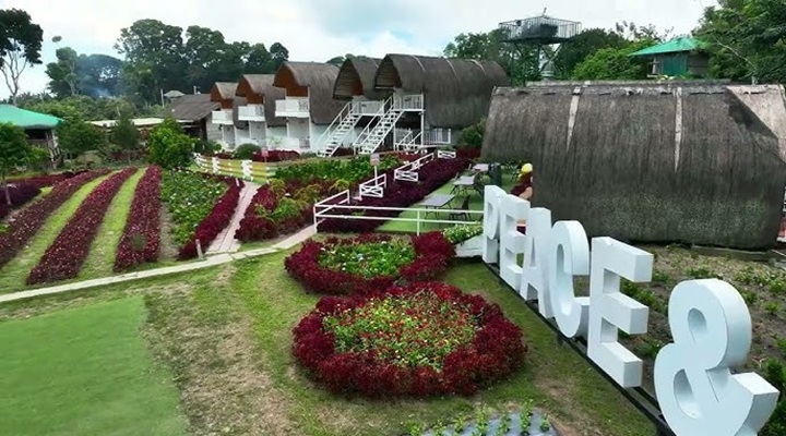 Mount Matutum Domesville