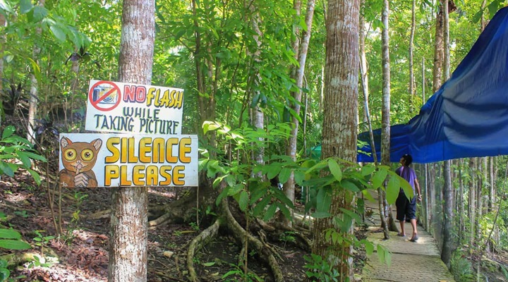 Philippine Tarsier Sanctuary