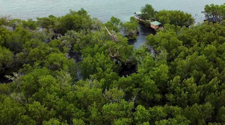 Puerto Verde Nature Park