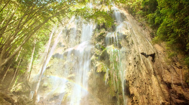 Tumalog Falls