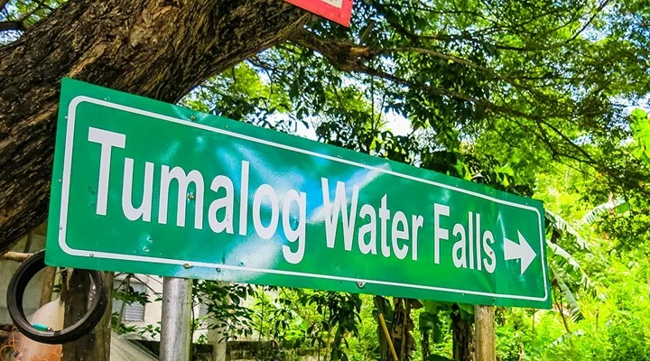 Tumalog Falls