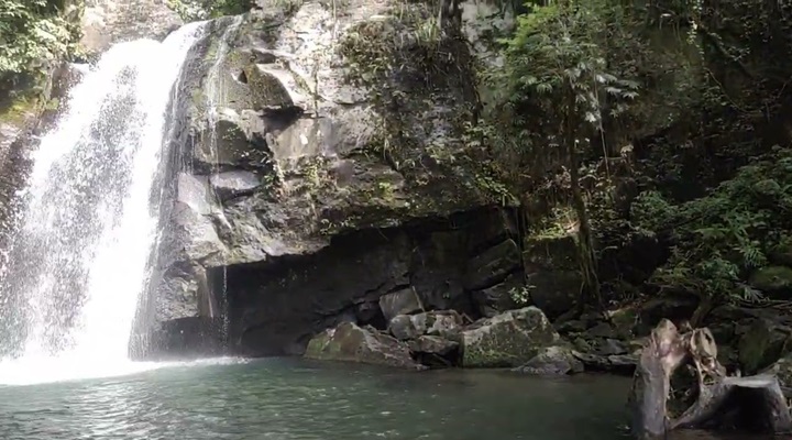 Vera Falls (13) Vera Falls
