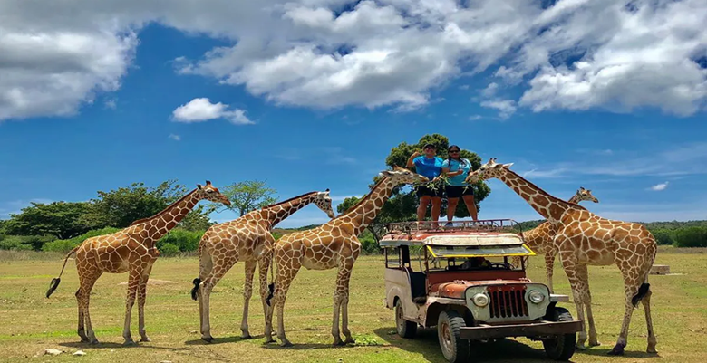 Calauit Island National Park