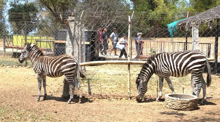 Baluarte Resort and Mini Zoo