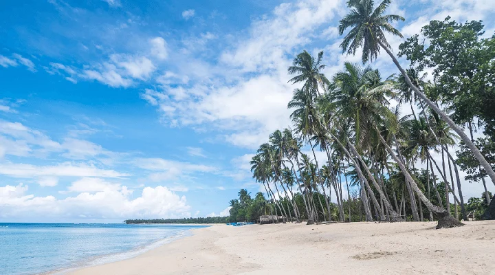 Crystal Clear Waters and Golden Sands of Saud Beach