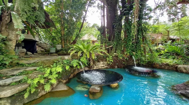 Forest Camp Resort