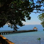 Talabong Mangrove Park A Sanctuary for Nature and Wildlife