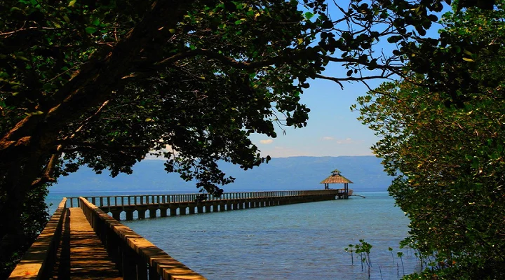 Talabong Mangrove Park A Sanctuary for Nature and Wildlife