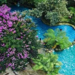 Nature Adventures and Family Fun at Forest Camp Resort