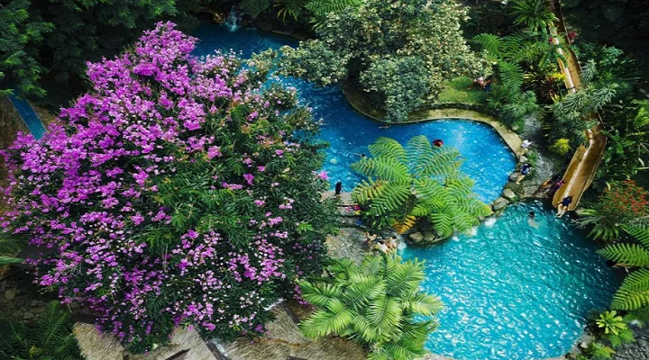 Nature Adventures and Family Fun at Forest Camp Resort