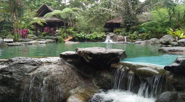 Forest Camp Resort