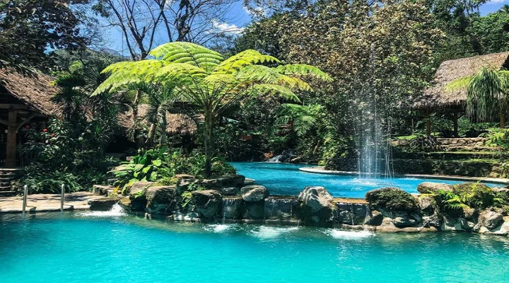 Forest Camp Resort