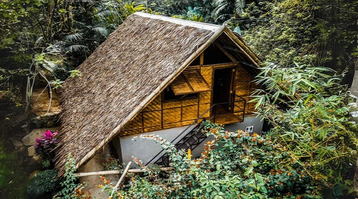 Forest Camp Resort