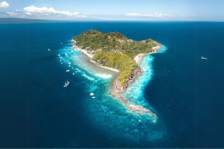 Aerial view of Apo Island and its reef