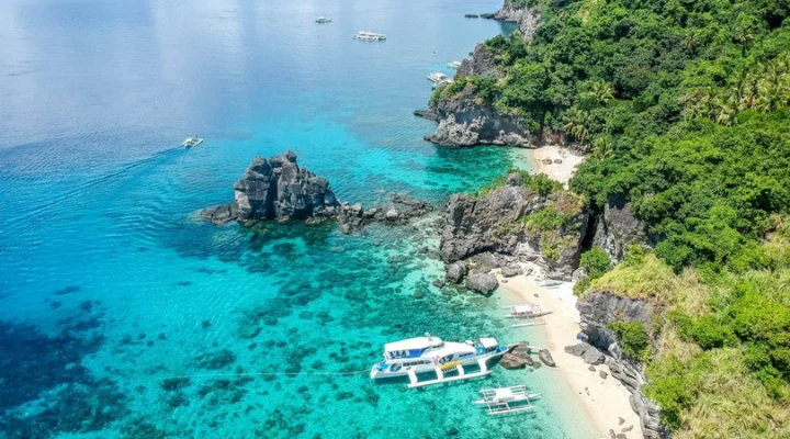 Get Up Close with Turtles and Corals in Apo Island