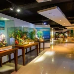 Clark Museum and 4D Theater A Cultural Landmark in Pampanga