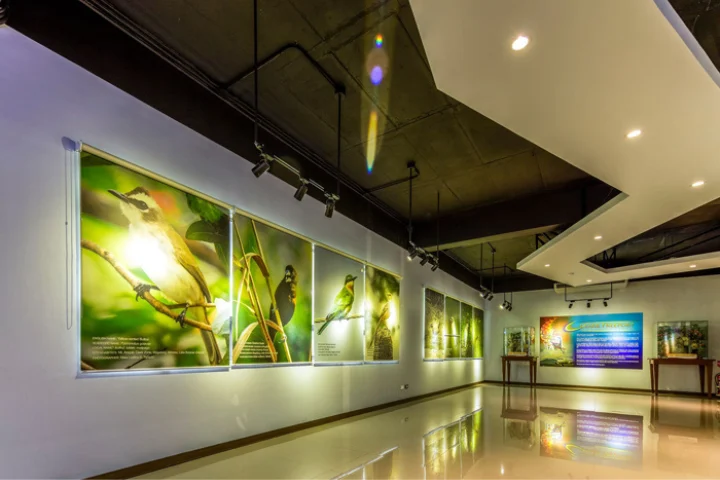 Clark Museum