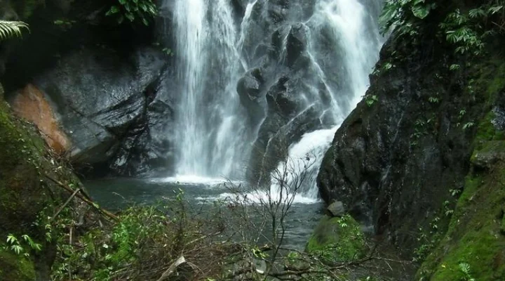 Waterfall pouring into a pool on the Mount Talinis trail, Negros Oriental
