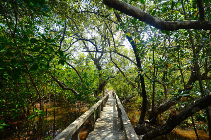 Talabong Mangrove Park