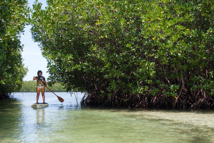 Talabong Mangrove Park