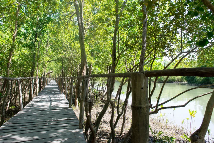 Bakhawan Eco Park