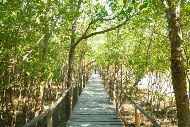 Bakhawan Eco Park