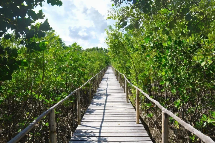 Bakhawan Eco Park