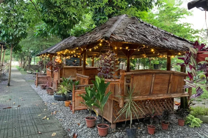 Kalibo Ostrich Paradise