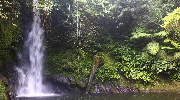 Malabsay Falls (10) Malabsay Falls
