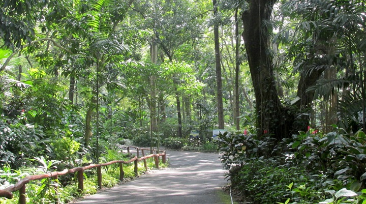 Naga City Ecology Park (9)