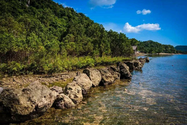 Pagatpat Mangrove Park