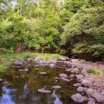 Exploring Indigenous Aeta Traditions at Pamulaklakin Forest Trail