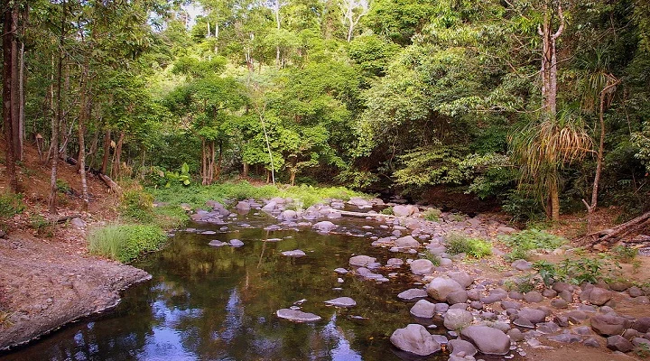 Exploring Indigenous Aeta Traditions at Pamulaklakin Forest Trail