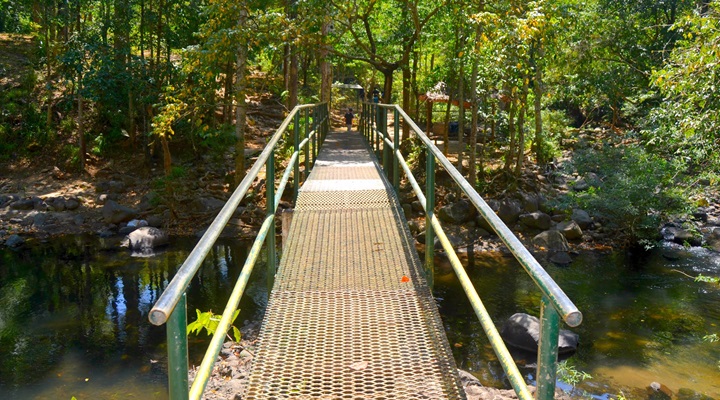 Pamulaklakin Forest Trail