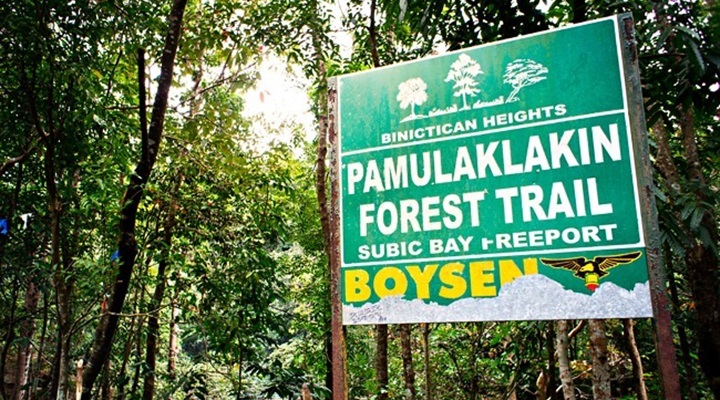 Pamulaklakin Forest Trail