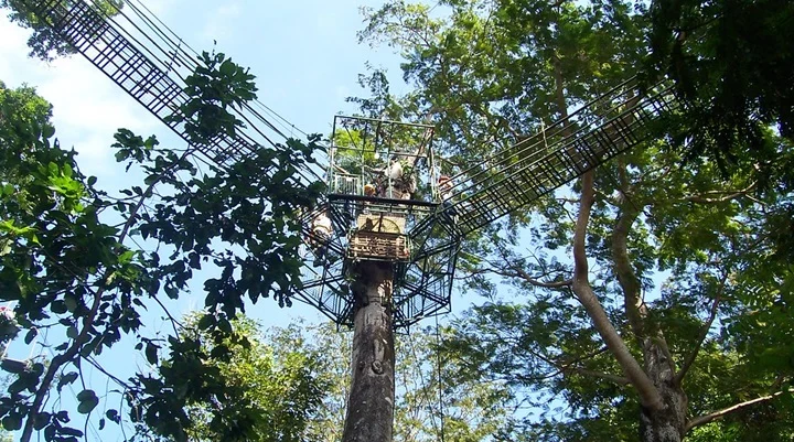 Tree Top Adventure Subic