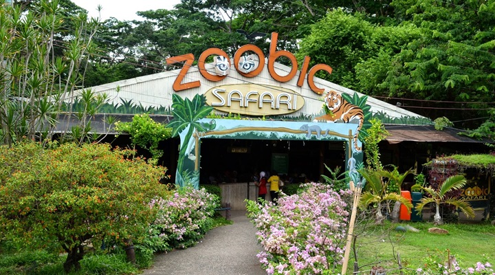 Zoobic Safari