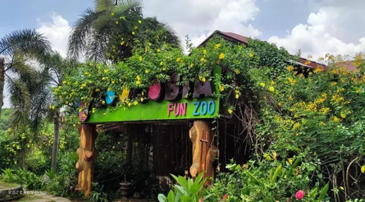 Zoocobia Fun Zoo The Ultimate Family Getaway